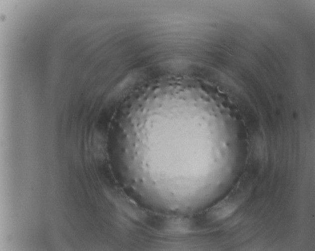 X0000062900234200601201919