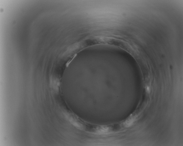 X0000062900235200601201919