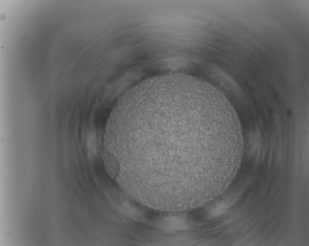 X0000062900236200601201919