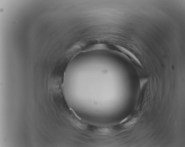 X0000062900237200601201919