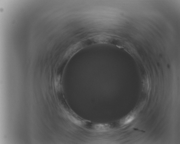 X0000062900239200601201919