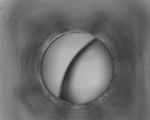 X0000062900241200601201918