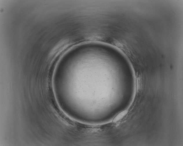 X0000062900243200601201918