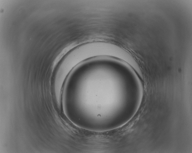 X0000062900244200601201918