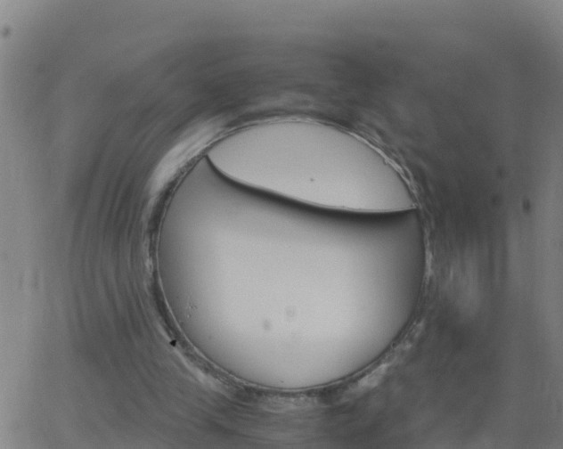 X0000062900245200601201918