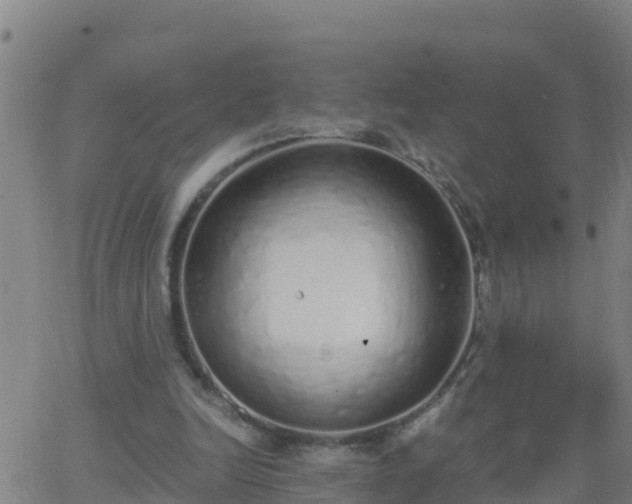 X0000062900246200601201918