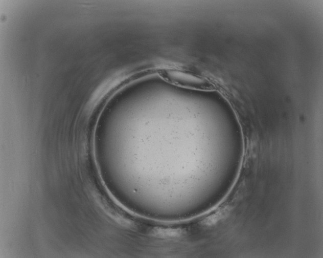 X0000062900247200601201918