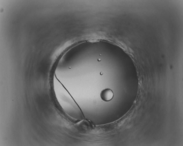 X0000062900248200601201918