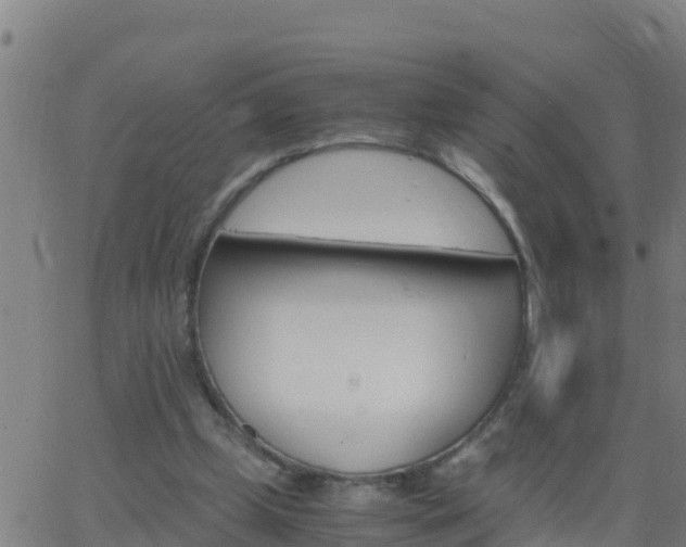 X0000062900249200601201918