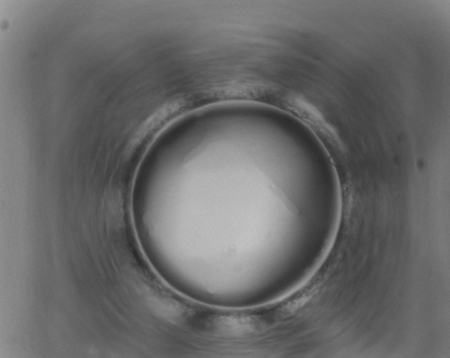 X0000062900250200601201918