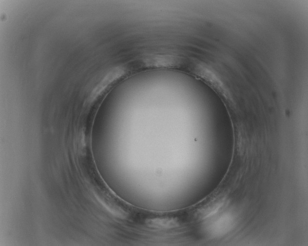 X0000062900251200601201918