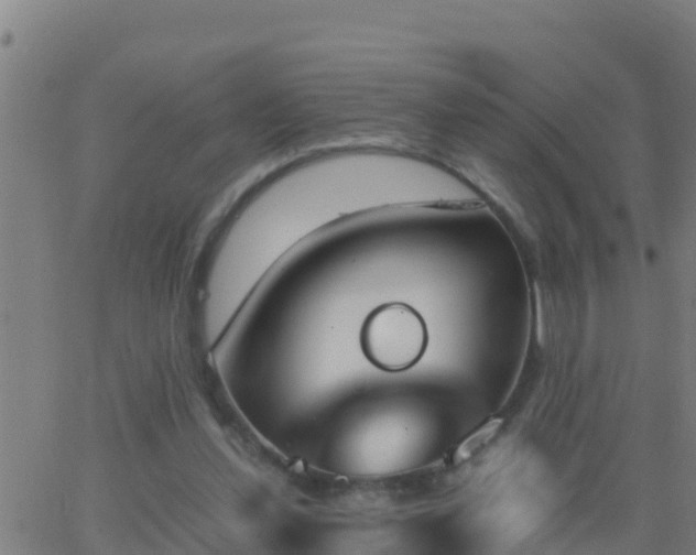 X0000062900252200601201918