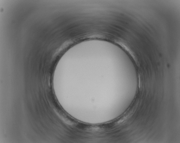 X0000062900253200601201918