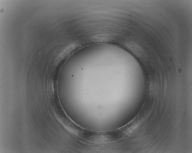 X0000062900254200601201918