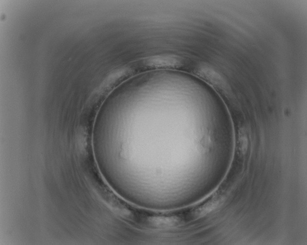 X0000062900255200601201918