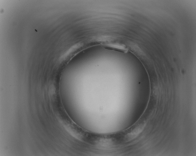 X0000062900256200601201918