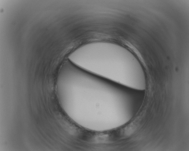 X0000062900257200601201918