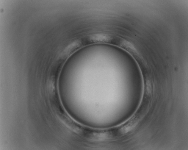 X0000062900259200601201918