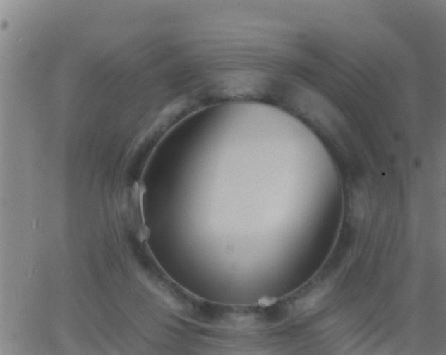 X0000062900260200601201918