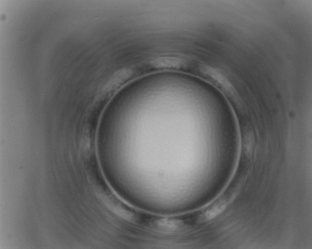 X0000062900261200601201918