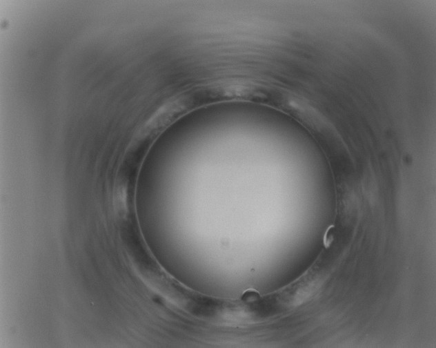 X0000062900262200601201918