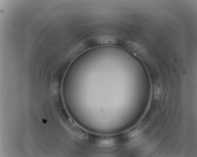 X0000062900263200601201918