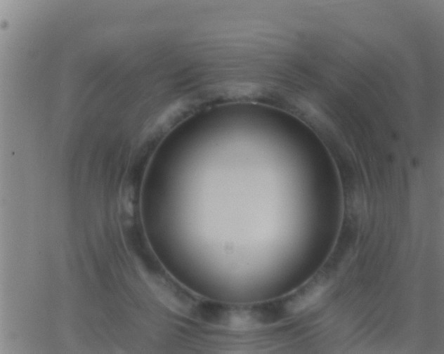 X0000062900264200601201918