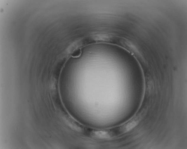 X0000062900265200601201918