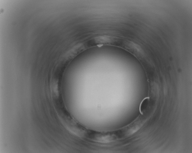 X0000062900267200601201918