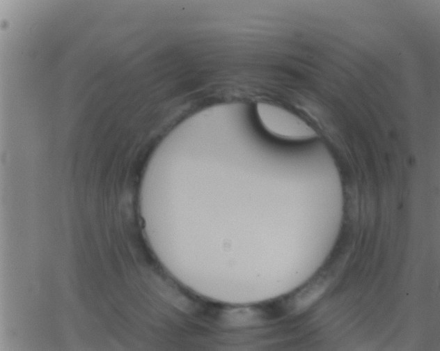 X0000062900269200601201918