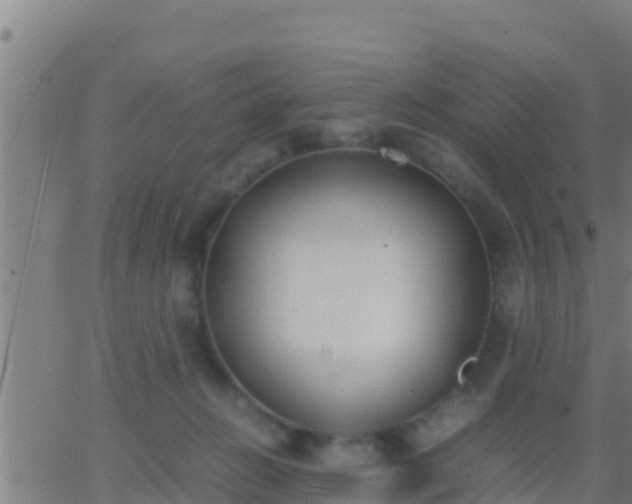 X0000062900270200601201918