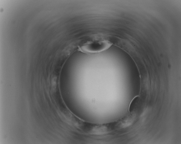 X0000062900271200601201918