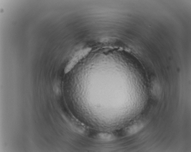 X0000062900272200601201918