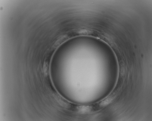 X0000062900273200601201918