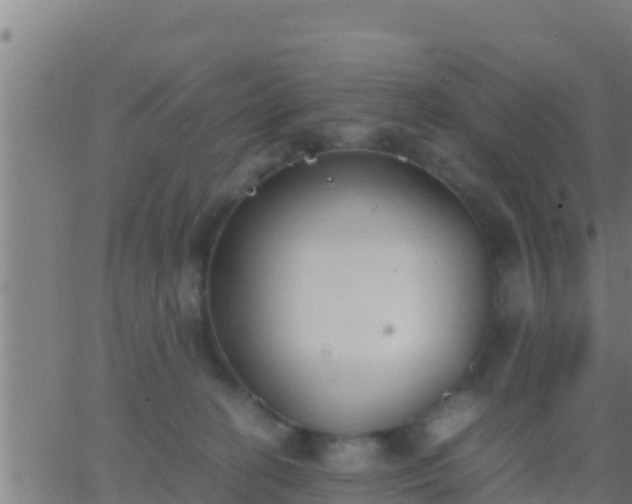 X0000062900274200601201918