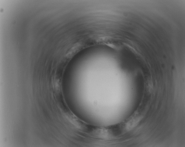 X0000062900276200601201919