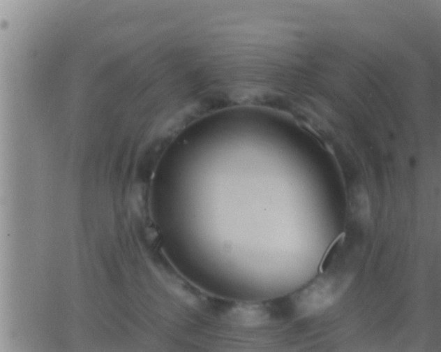 X0000062900280200601201919