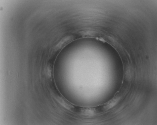 X0000062900282200601201919