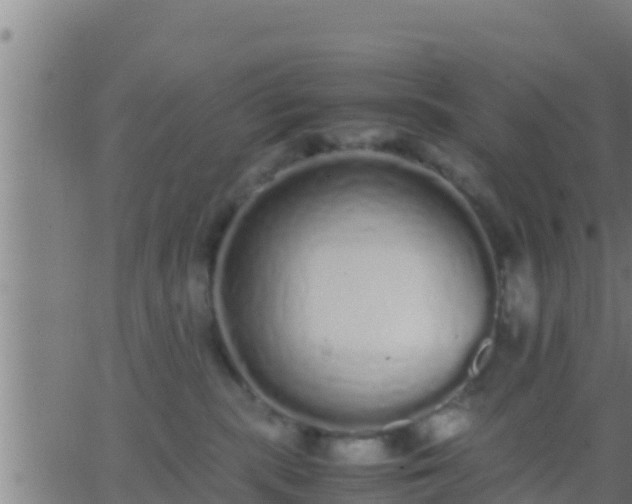 X0000062900283200601201919