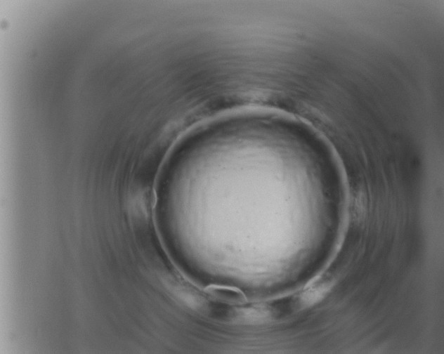 X0000062900286200601201919