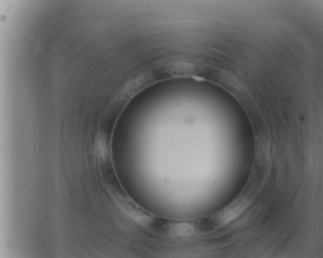 X0000062900287200601201919