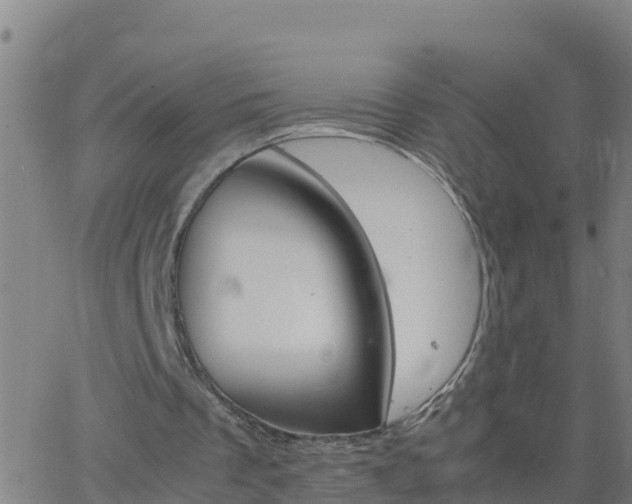 X0000062900289200601201918