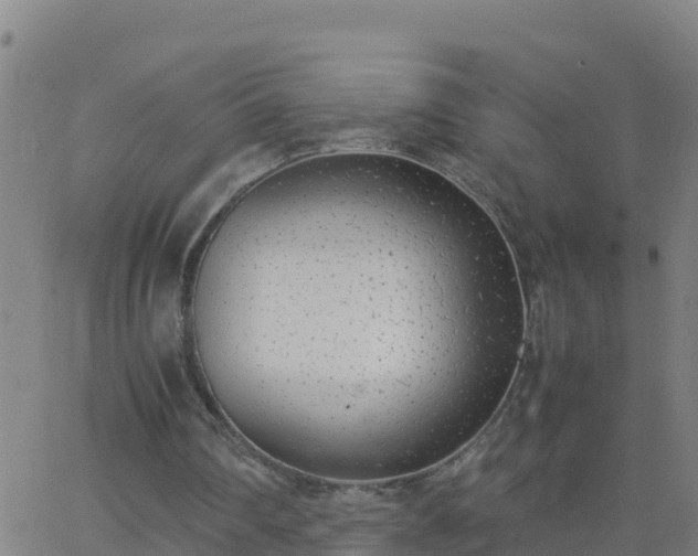 X0000062900290200601201918