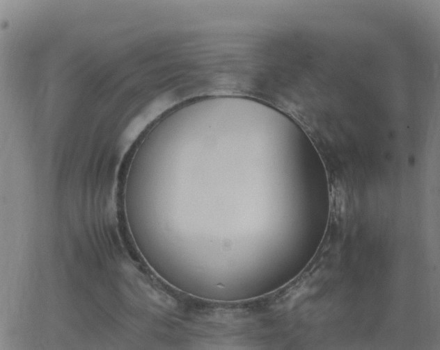 X0000062900292200601201918