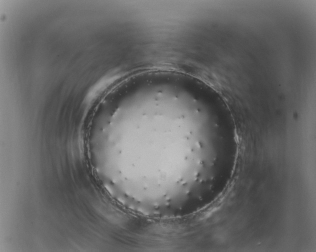 X0000062900294200601201918