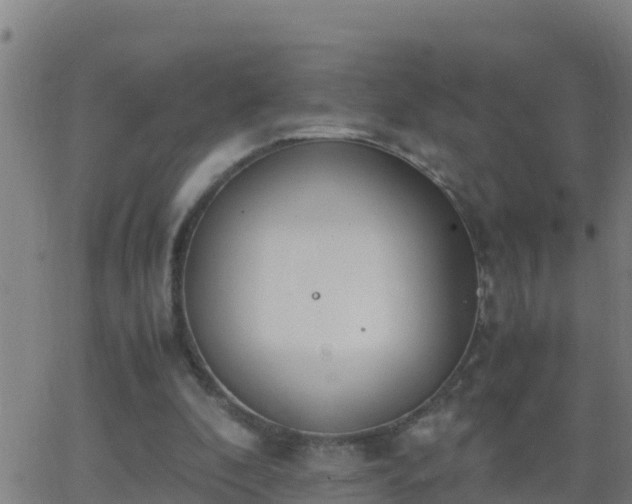 X0000062900296200601201918