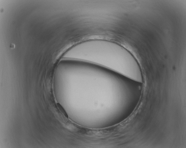 X0000062900297200601201918