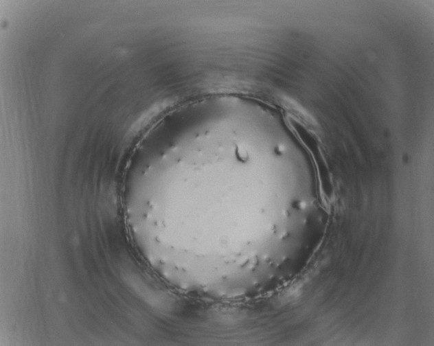 X0000062900298200601201918