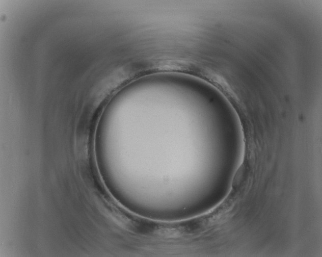 X0000062900299200601201918