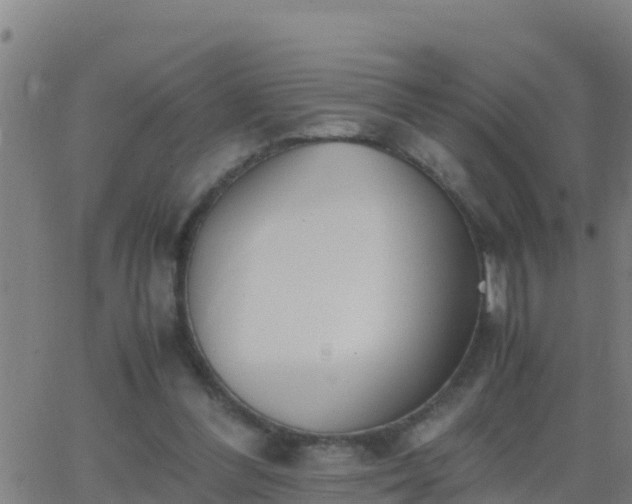 X0000062900300200601201918